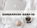 黄石昆虫网站高清照片素材（昆虫图片下载）