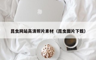 黄石昆虫网站高清照片素材（昆虫图片下载）